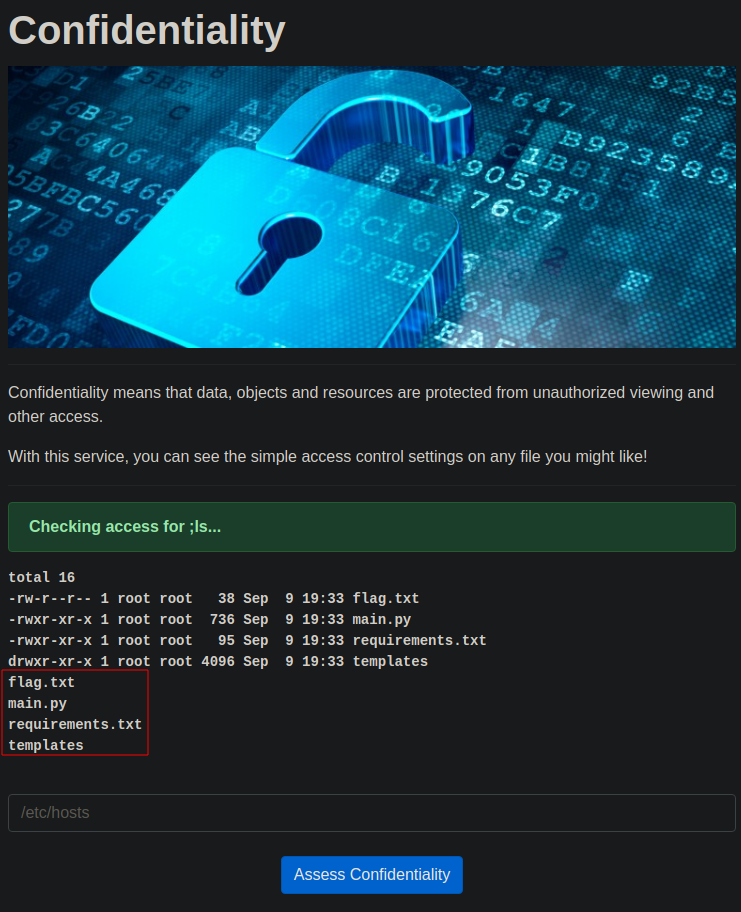 Command injection ls